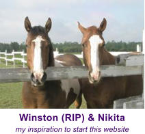 Winston (RIP) & Nikita my inspiration to start this website